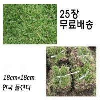 씨앗 선물 중지 18cm 25개 들잔디 산소잔디 채소 한국잔디 꽃  단품