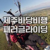 제주바당비행 패러글라이딩체험 / 제주도 여행 이색 관광지