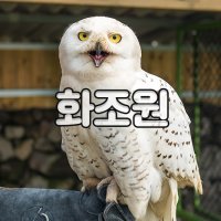 브이패스 제주 화조원 / 제주도 애월 여행 이색 관광지 체험 입장권
