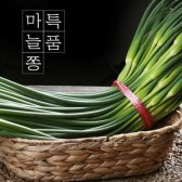 2020년 남해 햇 마늘쫑 마늘종 2kg 특품
