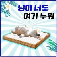 강아지 대리석 쿨매트 강아지 체온