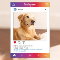 인스타 유튜브 페이스북 판넬 sns 포토 피켓 폼보드 촬영소품