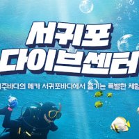 [제주도] 제주 서귀포 다이브센터 해양 스포츠 - 다이빙, 스킨스쿠버 자격증