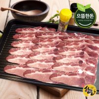 [으뜸한돈] 국내산 한돈 냉동 돼지 LA갈비 500g+500g (구이용)