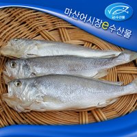 반건조 부세조기3마리 작은부세조기 소금간 된 반건조 제사용 반찬용생선 부서 반건조생선