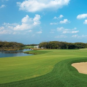제주도골프장 부킹 세인트포+블랙스톤+엘리시안+골프텔 54홀 2박3일패키지