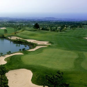 제주도 골프 부킹 에버리스