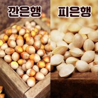 순창 강천골  은행 1kg 피은행 깐은행 옵션선택