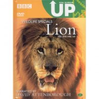 [DVD] BBC 와일드라이프스페셜: 사자 (Lion)- 하드커버 Book타입
