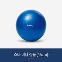 스타 다이어트 짐볼 블루 55cm EB240-07 다이어트 홈트 요가 피트니스