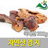 자연산영지버섯(300g)-국내산