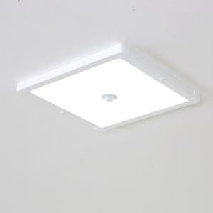LED 엣지 센서 특대형 20W (고효율) / 매입현관 대체용 초슬림 큰 아파트 현관조명