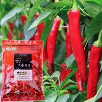 [23년] HACCP 경북 영양 고추가루 3kg