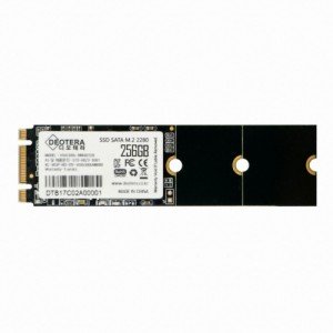 디오테라 VIVA 300S LITE M.2 SATA (256GB)