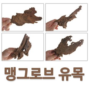 맹그로브유목 최저가 가성비상품