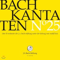 Rudolf Lutz 바흐 칸타타 25집 BWV 29 91 175 Bach Kantaten No 25