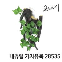 클리오네 내츄럴 가지유목 28535