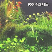 900 수초세트 CO2용