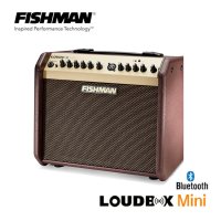 Fishman Loudbox Mini BT 피쉬맨 블루투스 어쿠스틱 기타앰프