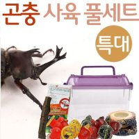 곤충사육 채집통 세트5번 특대 - 장수풍뎅이키우기