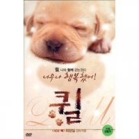 버즈픽쳐스 DVD 퀼