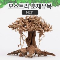 모스트리 분재유목 M221 모스 활착 수족관 레이아웃 수조