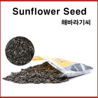 라온스토어 Sunflower Seed 해바라기씨 햄스터 애완조