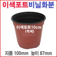 이색포트10cm 비닐 플라스틱 농장 블루베리 모종화분