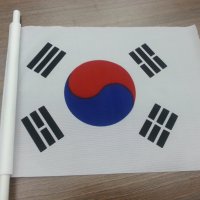 태극기 차량용 30 20