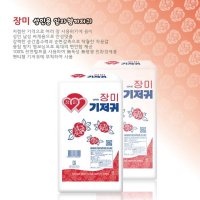 한빛 에이디 장미 패드 산모용 일자형 속 기저귀 10매