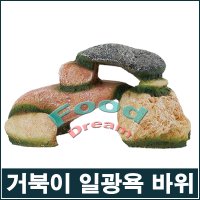 아마존 거북이 일광욕 바위장식 어항장식