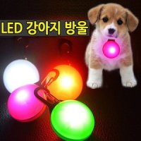 강아지팬던트 LED 목걸이 방울 야간산책 애견산책소품