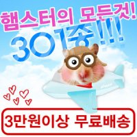 햄스터용품301종 사료 간식 집 장난감 베딩 쳇바퀴 볼