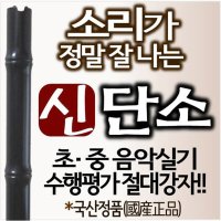 단소 신단소