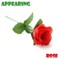 어피어링로즈 Appearing Rose 유매직