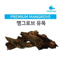 맹그로브유목 중 체리새우 crs새우 생이새우키우기 애완관상용새우놀이터