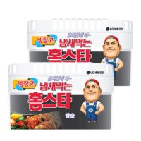 냄새먹는 홈스타 냉장고용 유칼립_참숯 420G