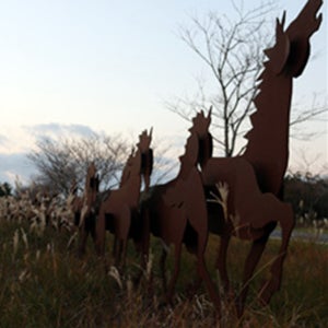 오드리인호텔 스탠다드 온돌 산 2인조식포함 올뉴카니발11인승 제주가족여행 제주도우도자전거