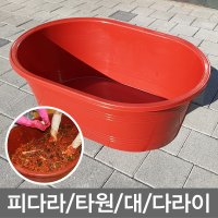 대 타원 피다라 다라이 김장대야 빨간대야