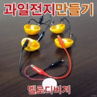 1인용 실험 과학 키트 과일전지만들기 멜로디버저