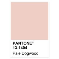 팬톤 파스텔 인테리어 액자 20호 PANTONE-163