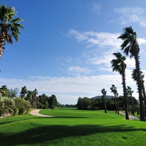 부영 엘리시안 샤인빌 2인노캐디 퍼블릭골프장 에코랜드테마파크 제주도골프