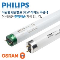 필립스 직관형광램프 32W 865 주광색 TLD 32W 865RS FLR32SS 5개묶음