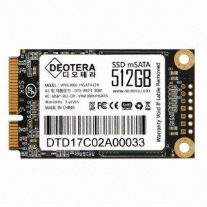 디오테라 VIVA 300S LITE mSATA (512GB)