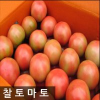명품찰토마토 10kg/쥬스용 완숙 토마토