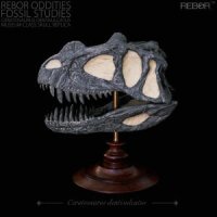 리보 REBOR 공룡피규어 두개골 화석 시리즈 케라토사우루스