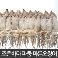 국내산 파품 마른 오징어 1kg/술안주/영양간식