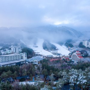 용평리조트 용평콘도 타워 빌라 그린피아콘도예약