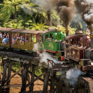 멜버른 퍼핑빌리기차 탑승 & 모닝턴 페닌슐라 온천 투어