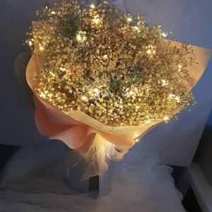 LED생화안개꽃다발, 도시정원